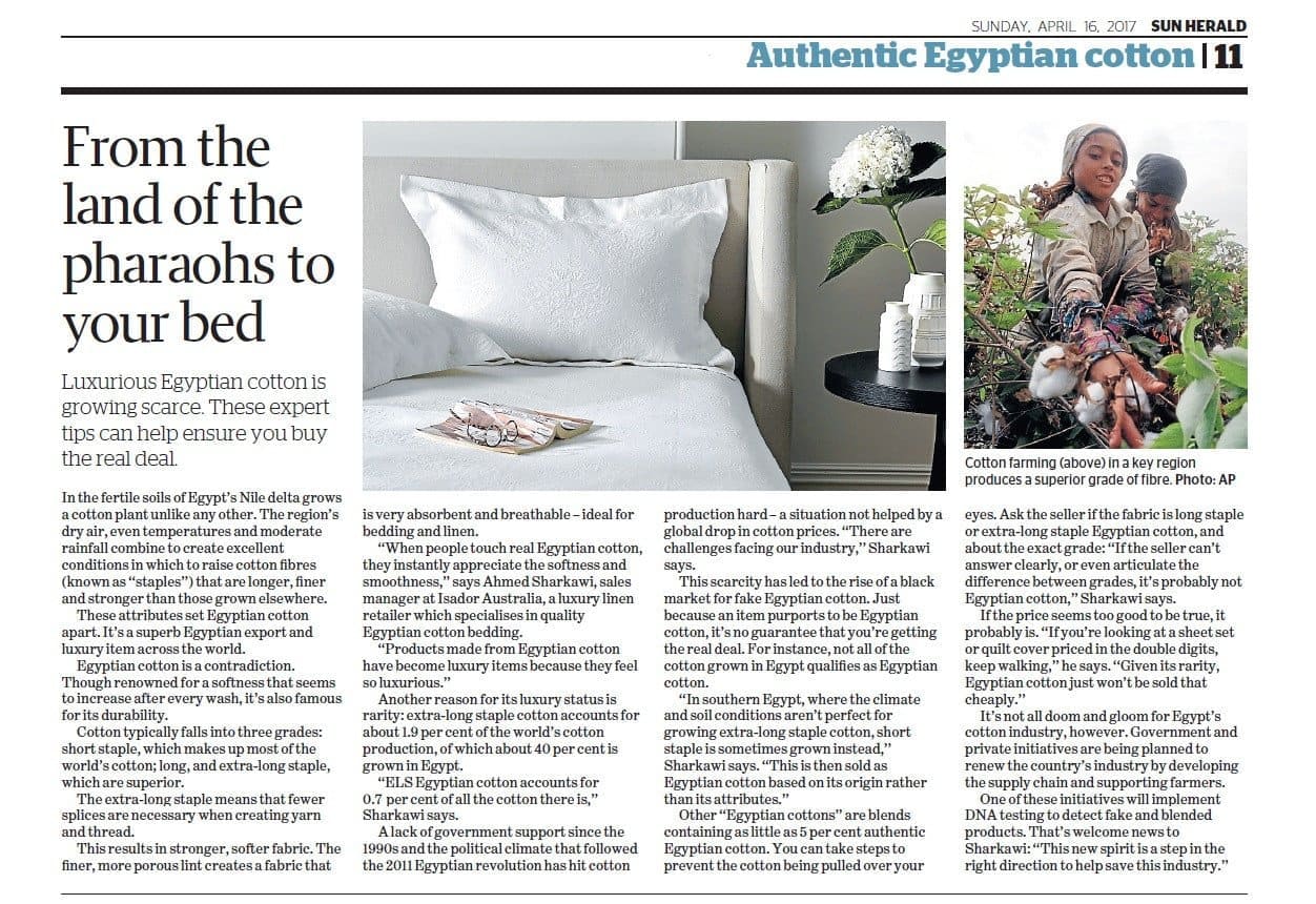 authentic egyptian cotton sheets article