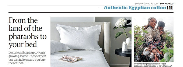 AUTHENTIC EGYPTIAN COTTON; INTERVIEW WITH THE SUN HERALD